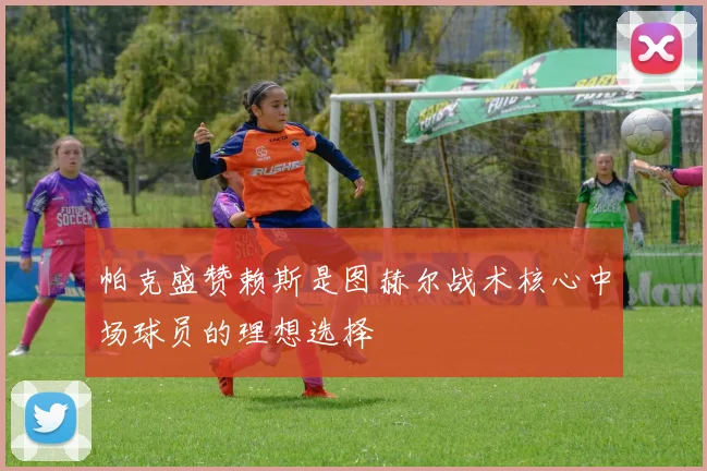 帕克盛赞赖斯是图赫尔战术核心中场球员的理想选择