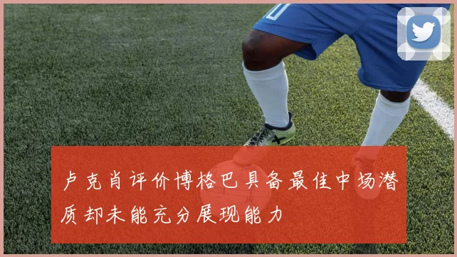 卢克肖评价博格巴具备最佳中场潜质却未能充分展现能力